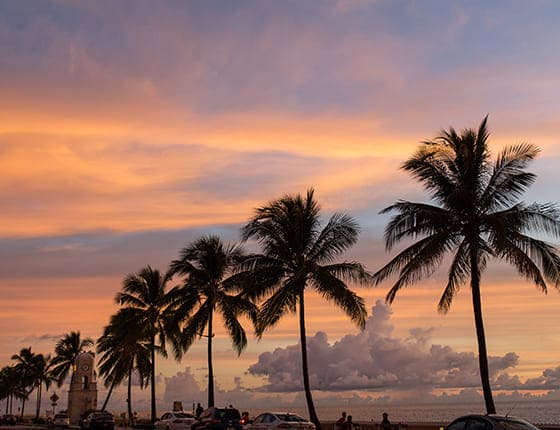Palm Beach showroom display